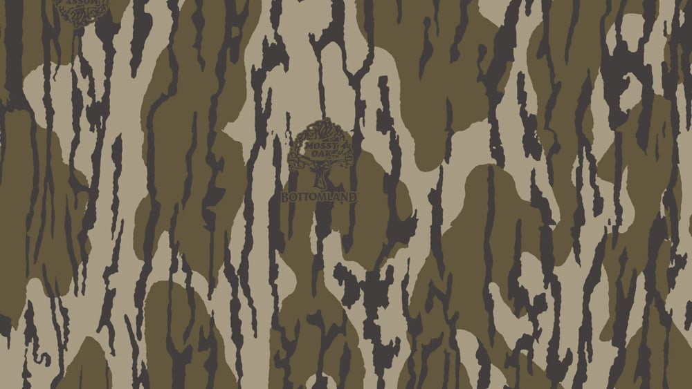 Image of TYPE 2 Hunting patterns
