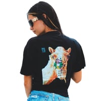 Image 1 of Camisetas gold camel 