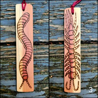 Image 3 of Centipede/Millipede Cedar Bookmark