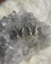 Image 2 of Silver butterfly earrings 