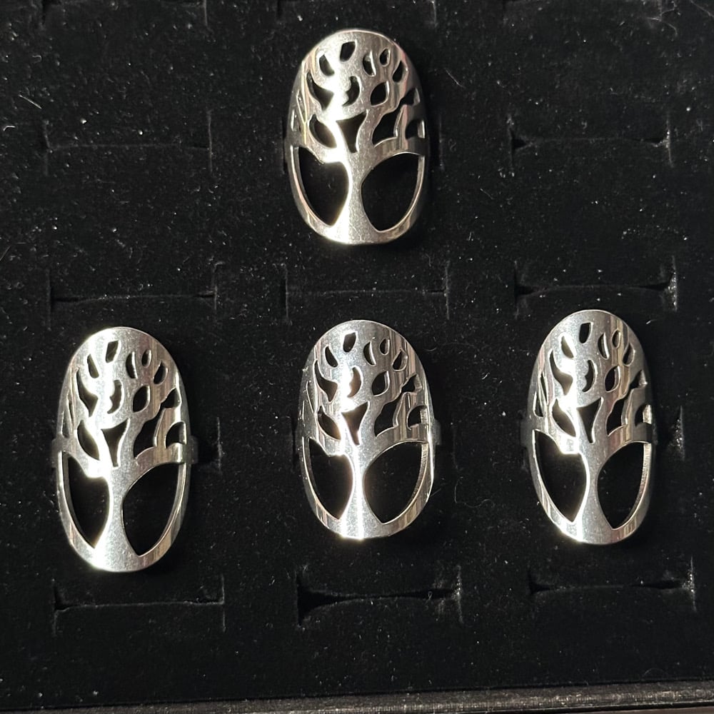 Image of carved tree ring