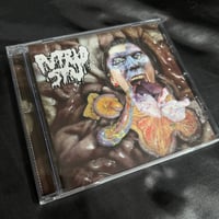 Image 1 of PUTRID STU - AMIDST AN ANAL-ANALGESIC ASSEMBLY CD