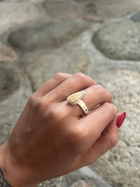 Image 2 of Triangle walrus ivory