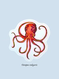 Image 5 of Stickers