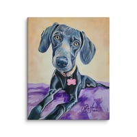 Image 2 of Feminine Weimaraner