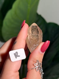 Image 18 of CHOOSE YOUR OWN MINI RUTILE SMOKEY QUARTZ POINTS (NATURAL UNPOLISHED POINTS) -BRAZIL- LOT 1