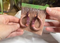 Image 4 of Worm Earrings - Lemby and Braun