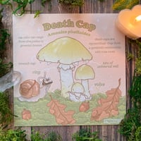 Image 2 of "Mushrooms!” prints 