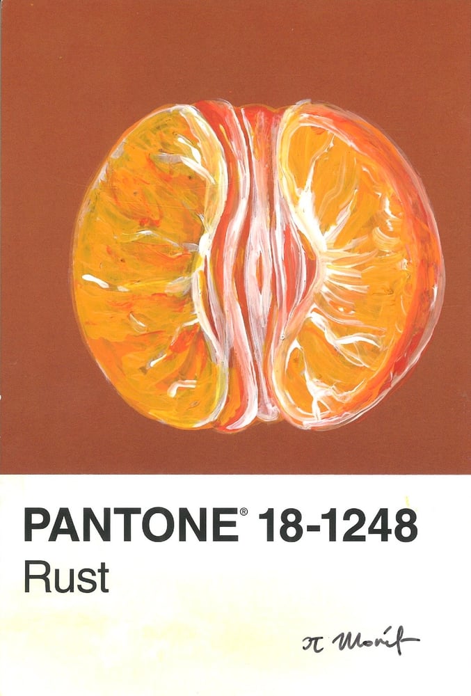 Image of Exposed Orange Pantone