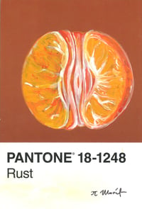 Image 1 of Exposed Orange Pantone