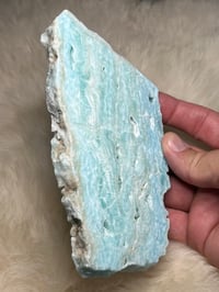 Image 3 of Blue Aragonite Slab #2391