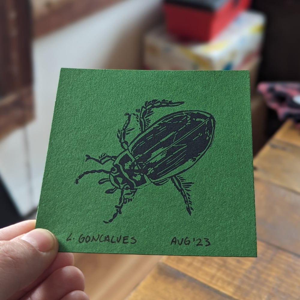 Image of Predaceous Diving Beetle print - 3.5"