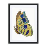 Image 5 of Framed poster of Butterfly