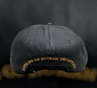 Image 4 of Turbidity - Snapback