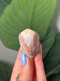 Image 1 of TUMBLED AGATE #21 -MALAWI-
