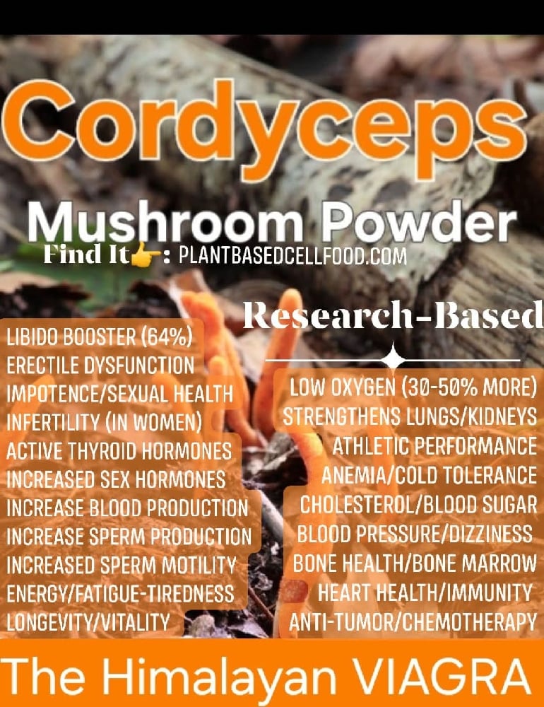 WILD MEDICINAL MUSHROOMS: Lion's Mane-Chaga-Turkey Tail-Maitake-Cordyceps (Himalayan Viagra). DNA.