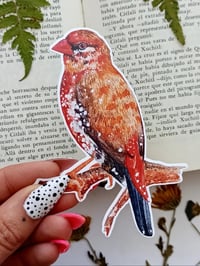 Image 4 of Strawberry Finch Sticker 