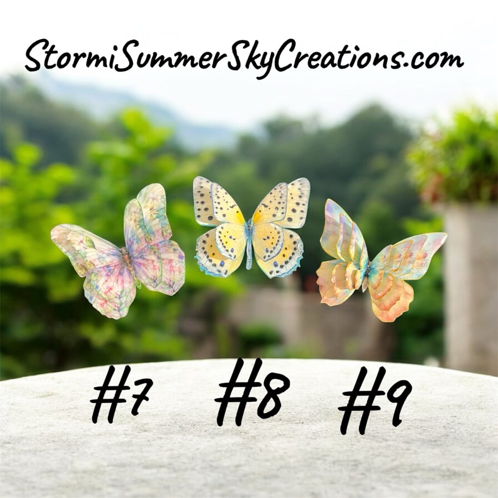 Image of Multiple Butterflies