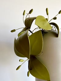 Image 2 of Pistachio flower headpiece  
