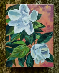 Image 1 of Sweet Magnolias