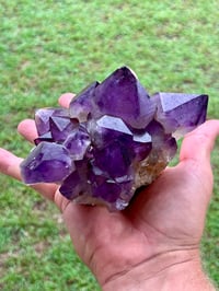 Image 12 of Amethyst Points Cluster | Congo #2870