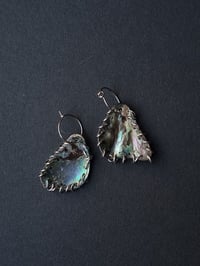 Image 1 of pierced abalone earingsss
