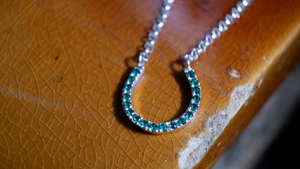 Image of Lucky Horse Shoe Necklace 