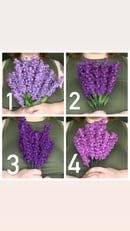 Image 2 of lavender (individual) 