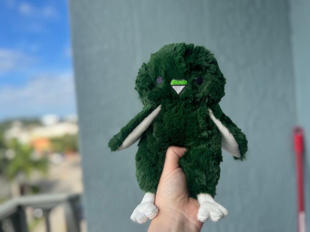 Image of The Parakeets