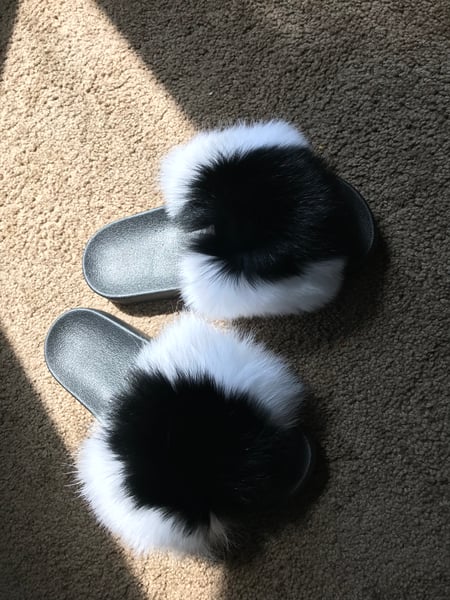 Image of Skunk Fox Slides