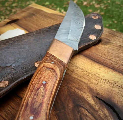 Image of Damascus forged steel knife with black walnut scales