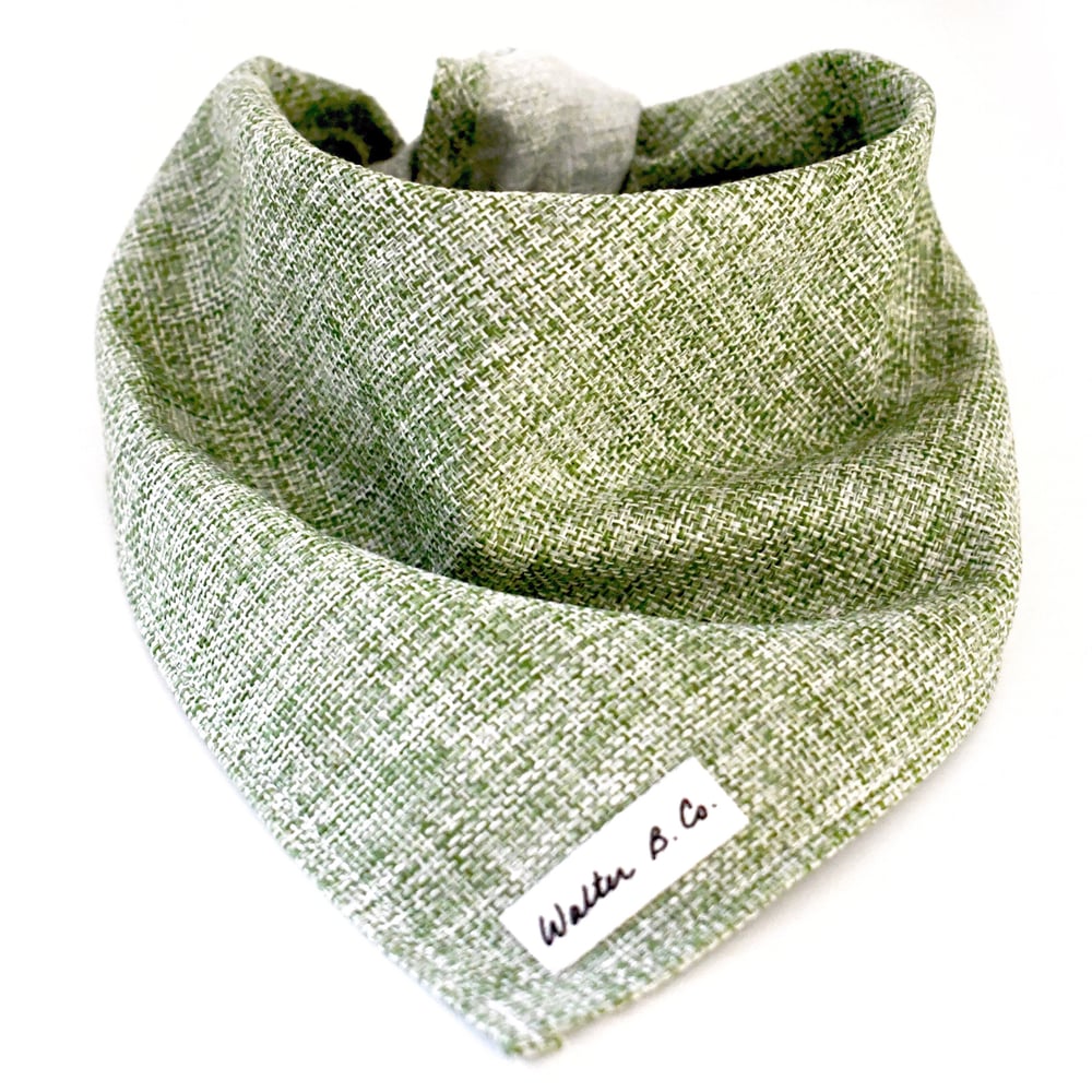 Image of HEMLOCK Collection