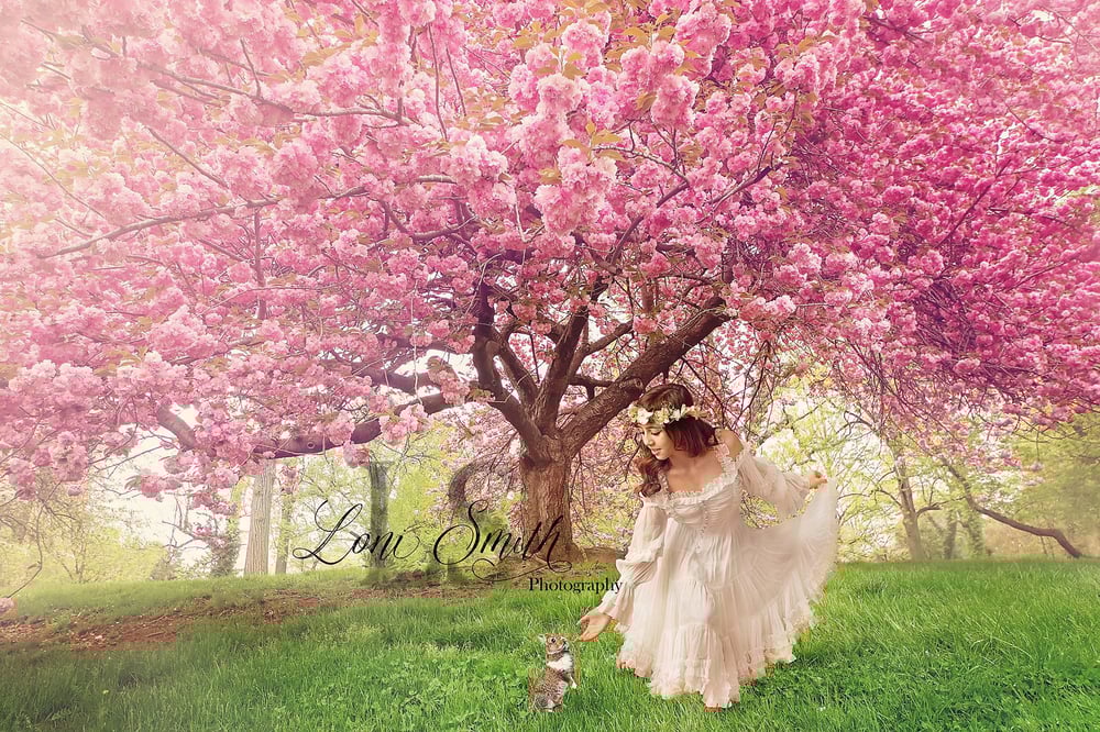 Pink Cherry Trees Digital Backgrounds / Shoot for the Moon Images & Product Shop