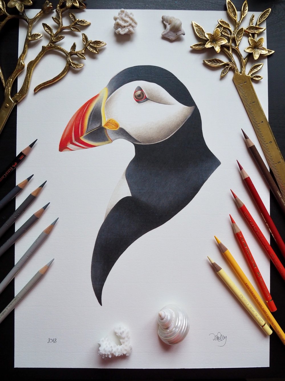 Special Edition Textured Print Atlantic Puffin Portrait Scottish Bird Fine Art Print