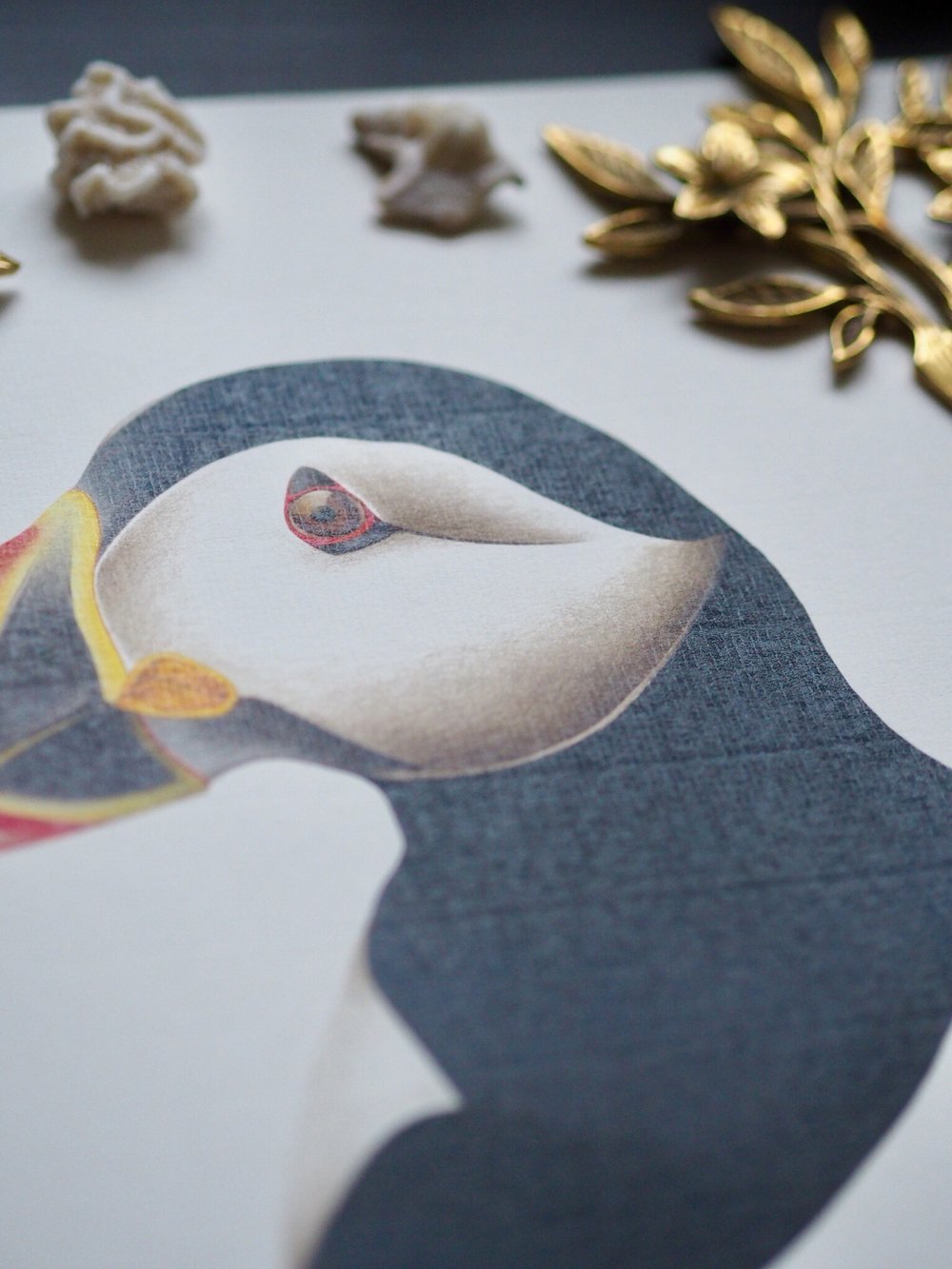 Image of Special Edition Textured Print Atlantic Puffin Portrait Scottish Bird Fine Art Print