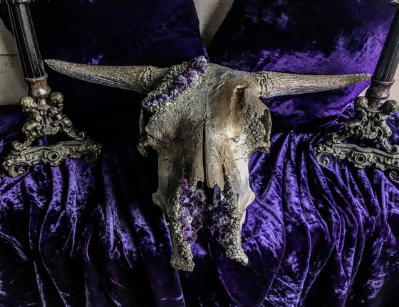 Image of Uruguayan Amethyst - Bull Skull