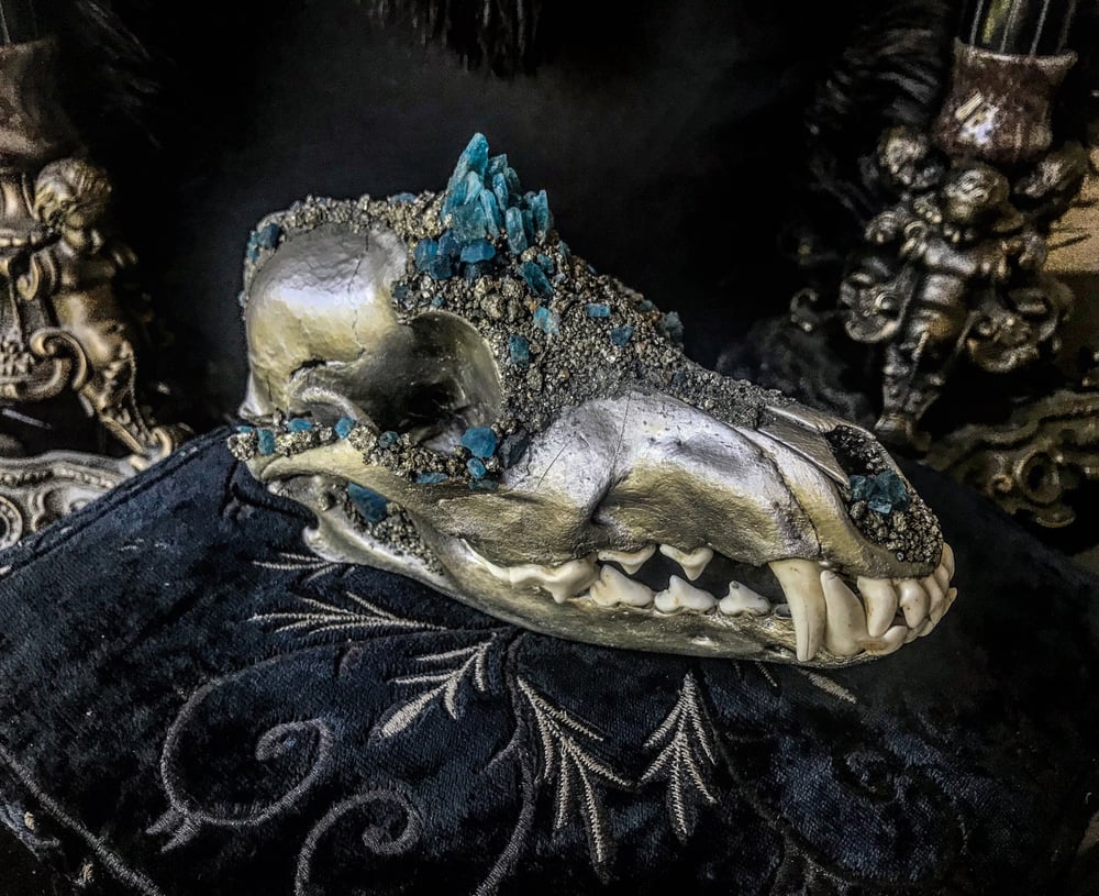 Image of Blue Apatite - Coyote Skull