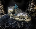 Blue Apatite - Coyote Skull