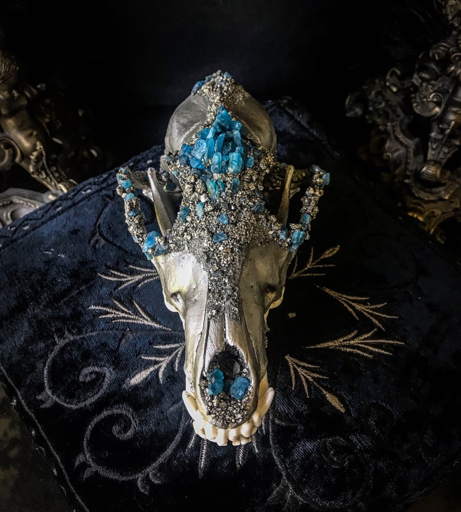 Image of Blue Apatite - Coyote Skull