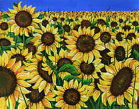 Image 1 of The Field of Sunflowers