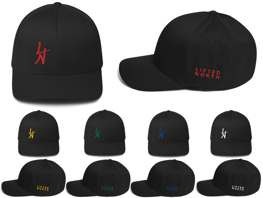 Image of LN Flex-Fit Hat (20 styles)