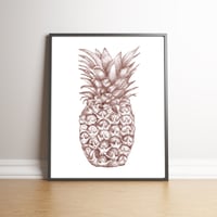 Sepia Pineapple limited edition hand signed print