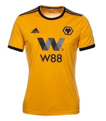 Image of Wolverhampton Wanderers 18/19 Home kit