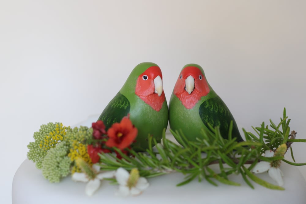 Image of Custom Wedding Cake Topper Birds