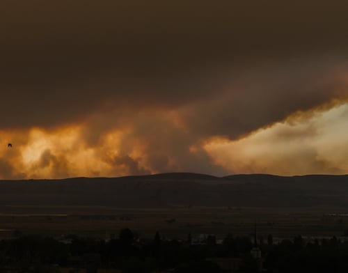 Image of Broad Canyon Fire