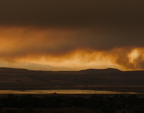 Image of Broad Canyon Fire