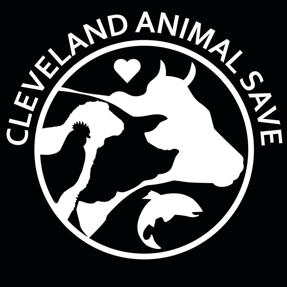 Image of CAS T-Shirt