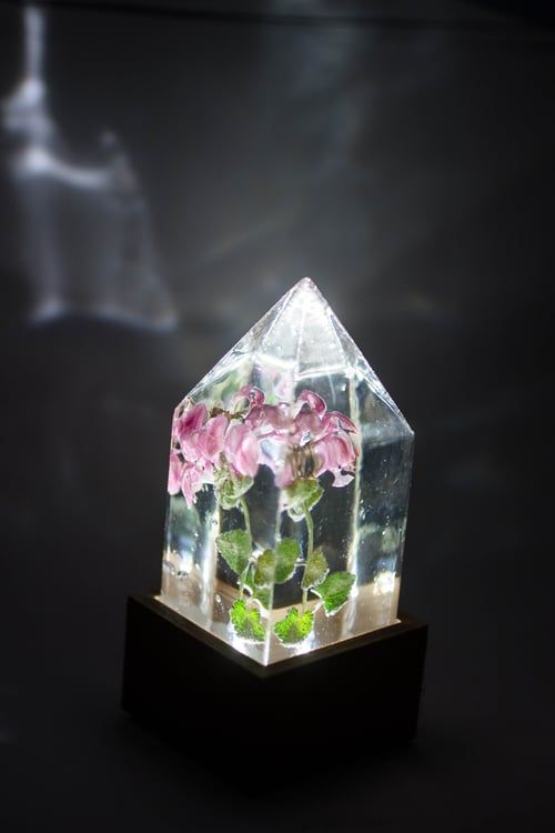 Image of Deadnettle (Lamium maculatum) - Floral Prism Lamp #2