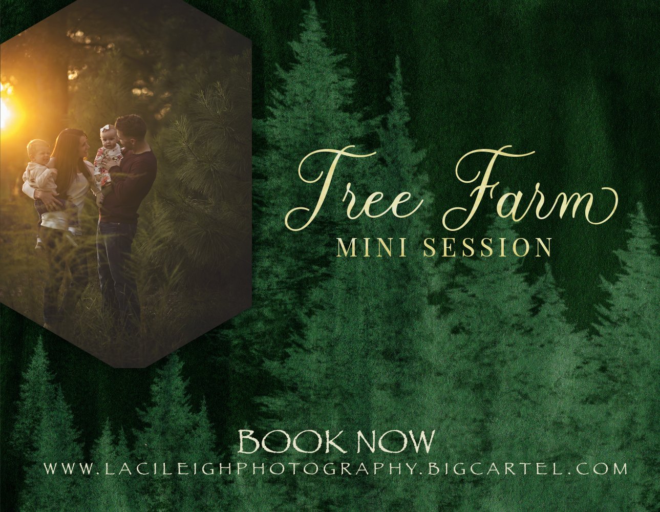 Image of Christmas Tree Farm Sessions