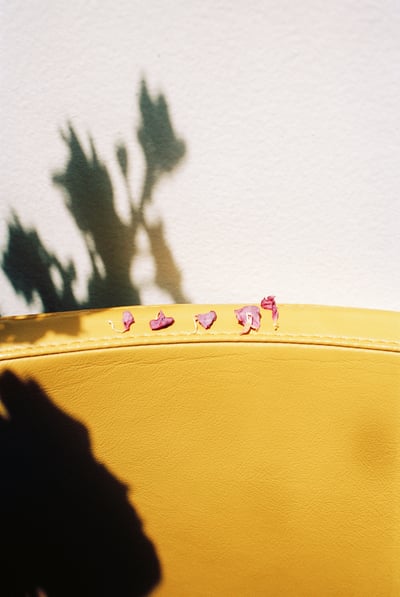 Image of Yellow chair and pink petals